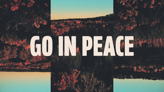 Fall Foliage Remixed Go In Peace Still