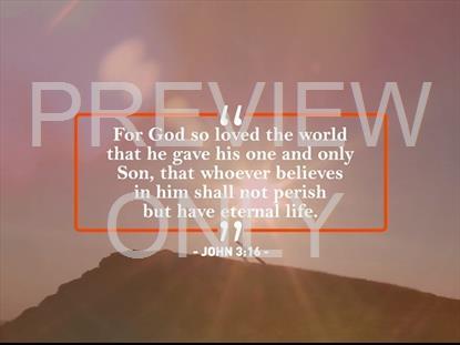 John - That You May Believe: Scripture Still