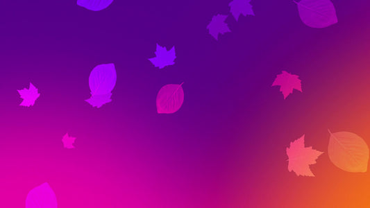 Vibrant Fall 3