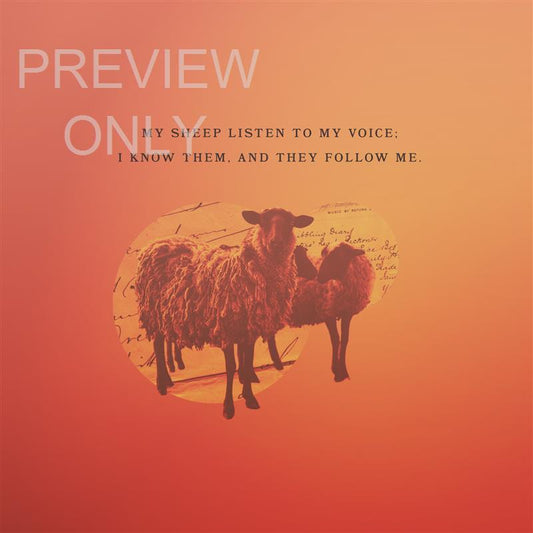 John 10:27