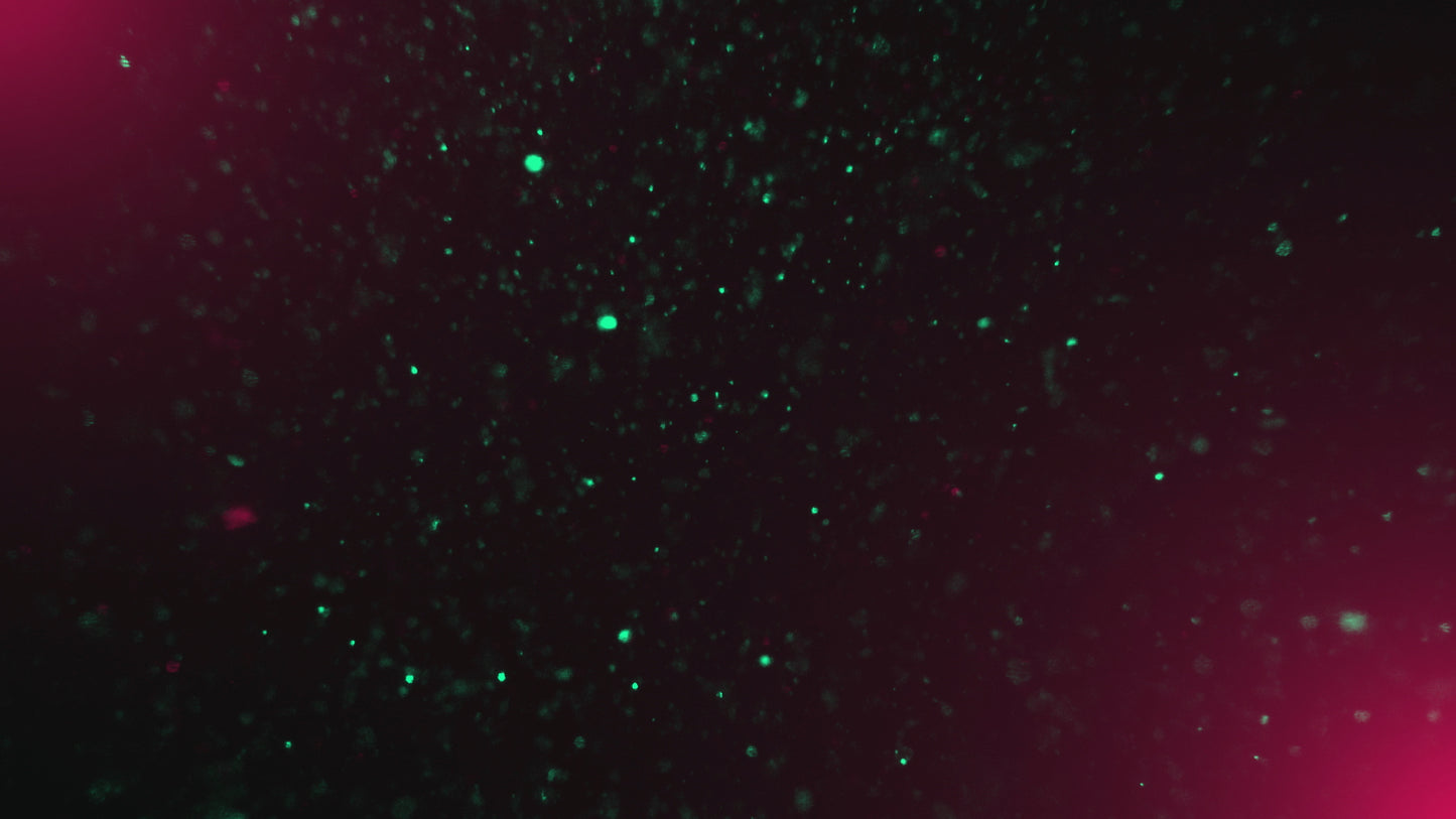 Christmas Glitter 07 Still