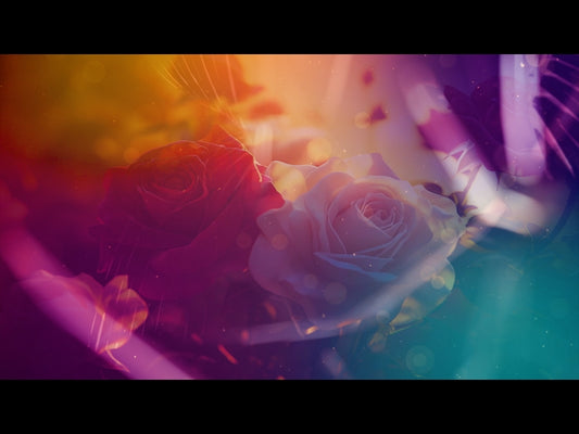 Floral Motion Loop 02