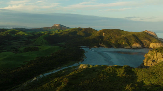 Golden Bay 7 Still