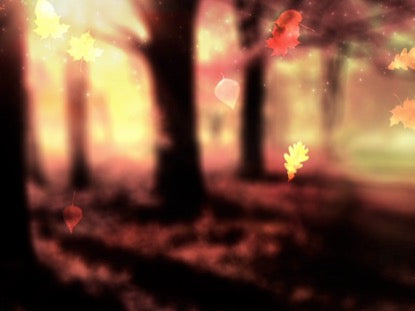 Autumn Leaves 3
