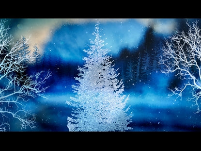 Christmas Woods 13