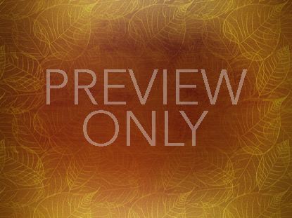 Gold Leaves Orange Still