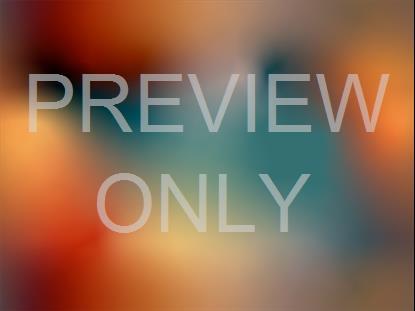 Neon Summer 12 Still