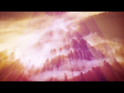 Rays Thru The Forest