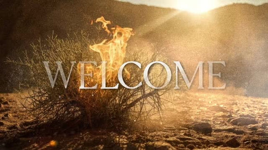 Exodus Welcome