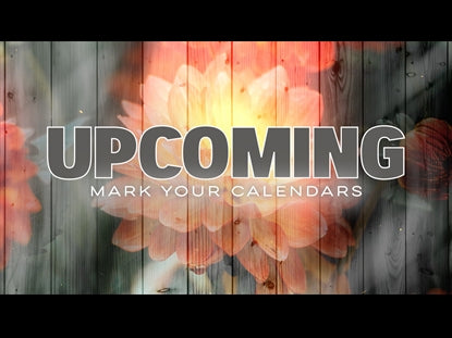 Floral Fusion Upcoming