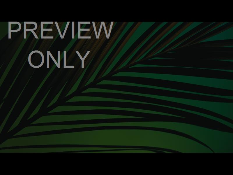 Cinematic Palms Still 8