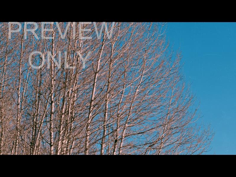 High Heavens Still 07