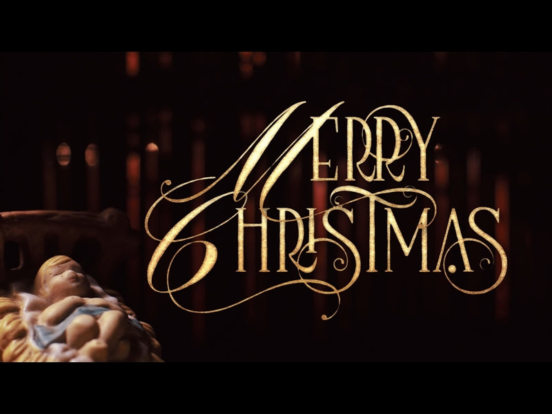 In A Manger Christmas