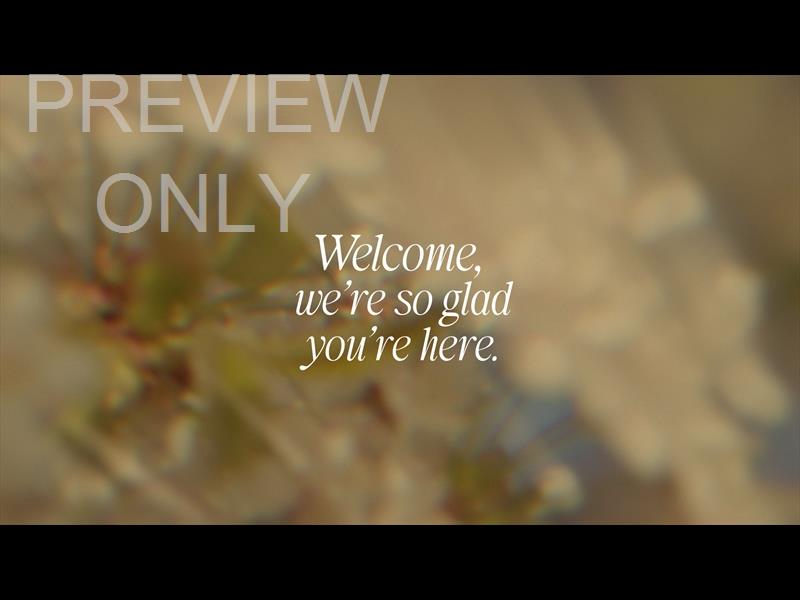 Daydream Welcome Still