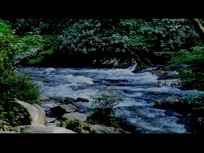 River Wild 18