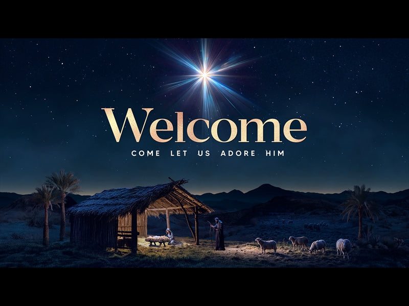 Christmas Promise Christmas Welcome