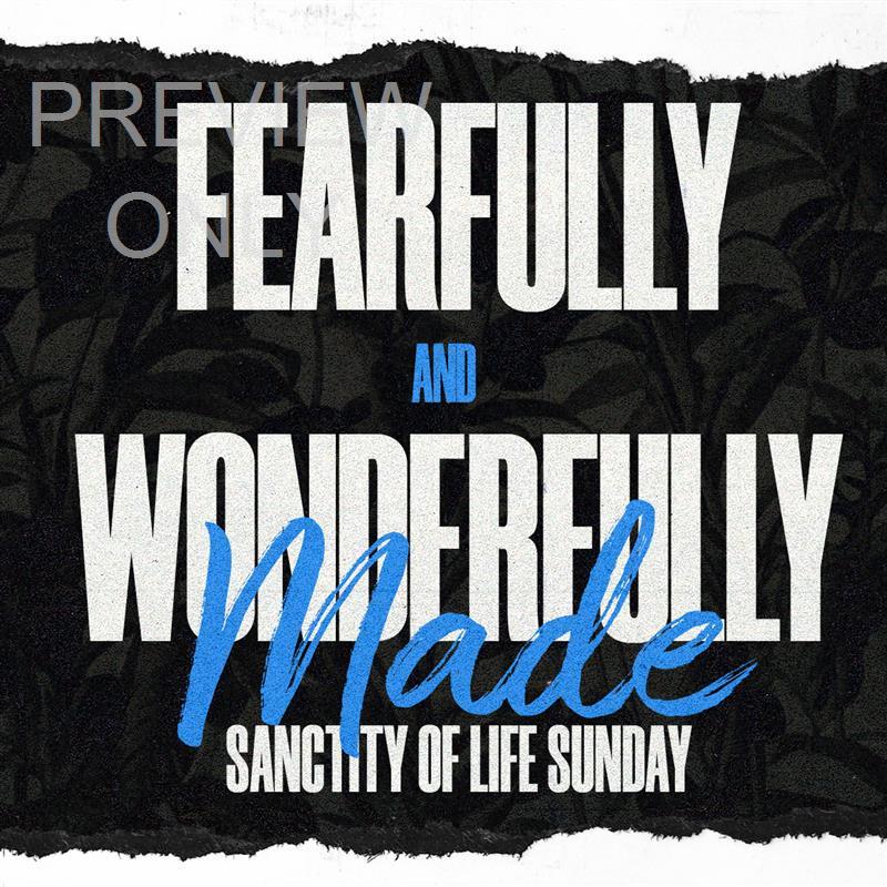 Fearfully And Wonderfully Made Social Graphic Title