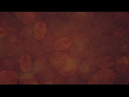 Autumn Spice 11 Motion