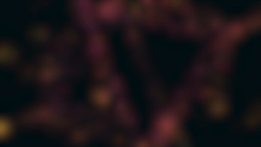 Light Fragments 10 Alt