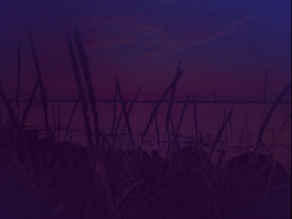 Floating Lights Motion 12