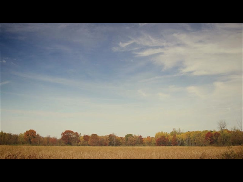 Fall Colors Blue Sky