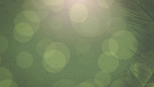 Palm Sunday Bokeh 03