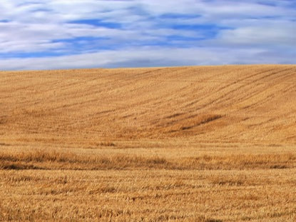 Harvest