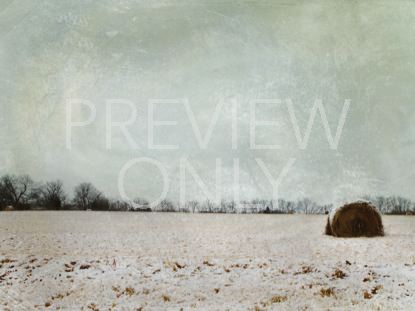 Snowfield Still
