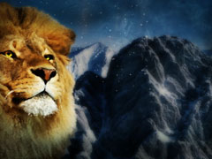 Lion Face Close Loop