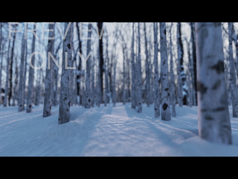 Christmas Joy: Still Trees 01