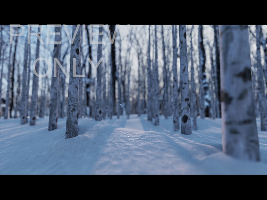 Christmas Joy: Still Trees 01