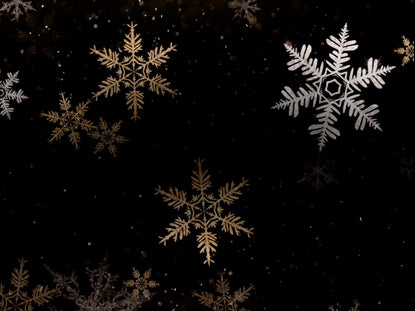 Christmas Snowflakes 8