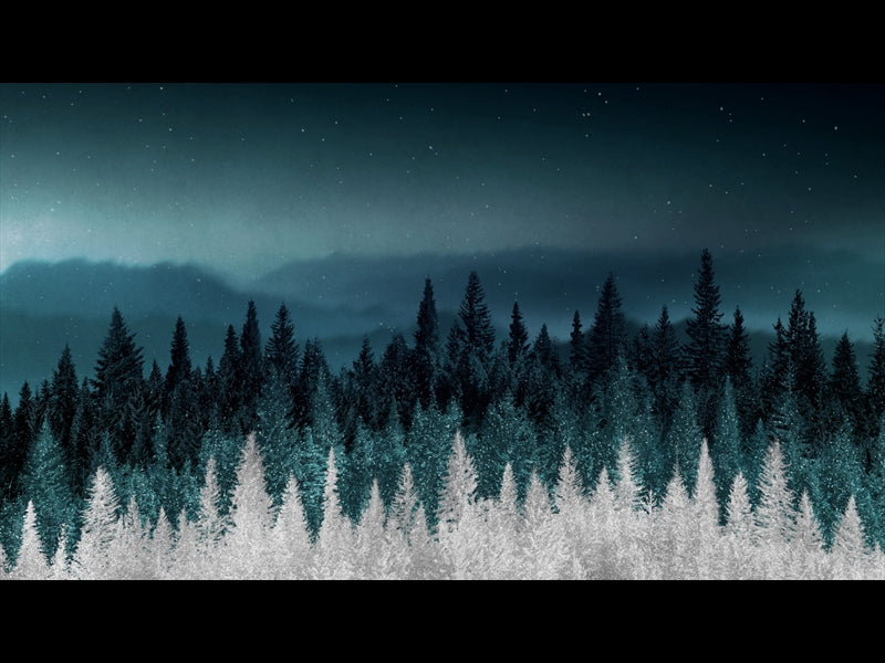 Sparkling Trees 10