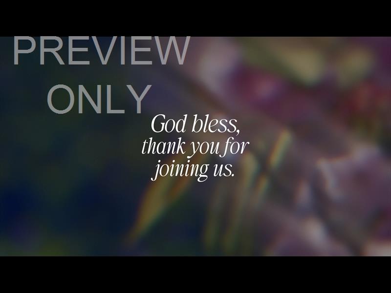 Daydream God Bless Still