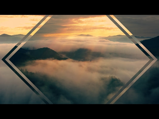 Misty Pines Golden Sunset