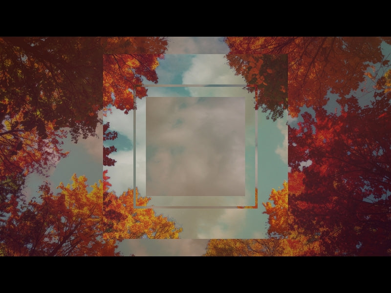 Fall Trees 3 Remix