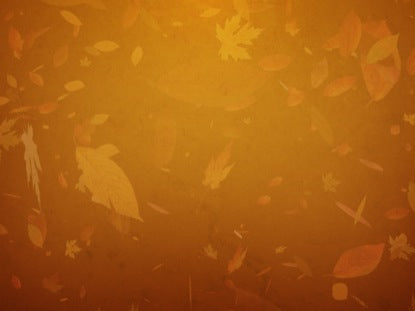Fall 4