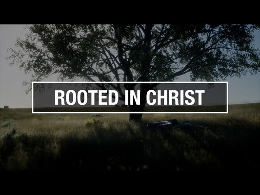 Rooted In Christ