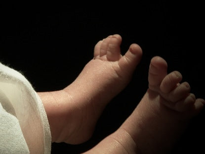 Christmas Manger Clip 5