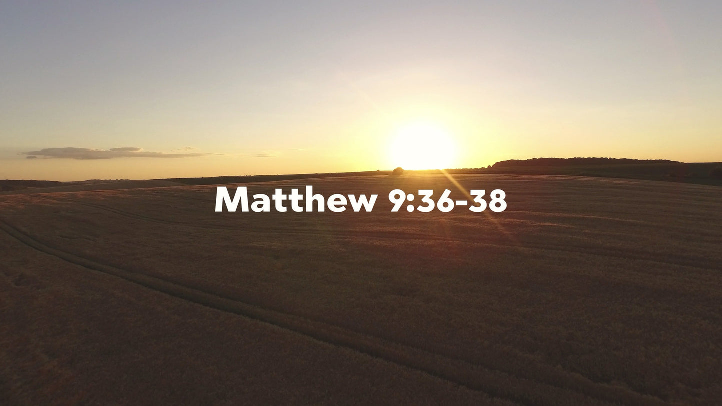 Matthew 9:36-38