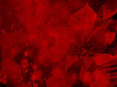 Red Flower