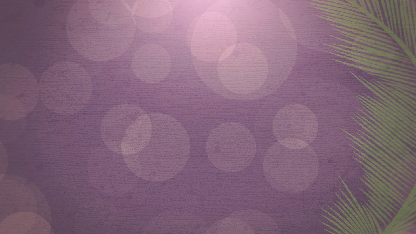 Palm Sunday Bokeh 02