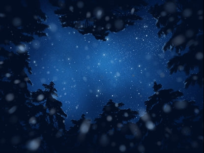 Classic Christmas Night Sky