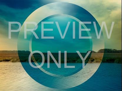 Tidelands 2 Remix Still