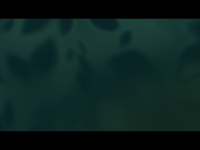 Velvet Fall Loop 04