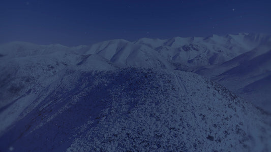 Deep Winter 5 Tint Still