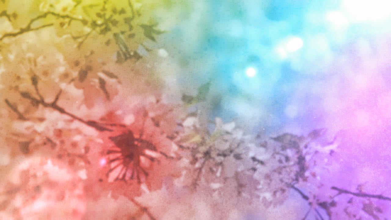 Mother'S Day Blossoms 03