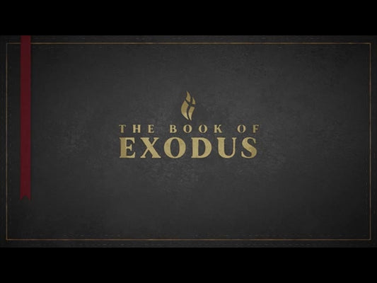 Exodus - Black