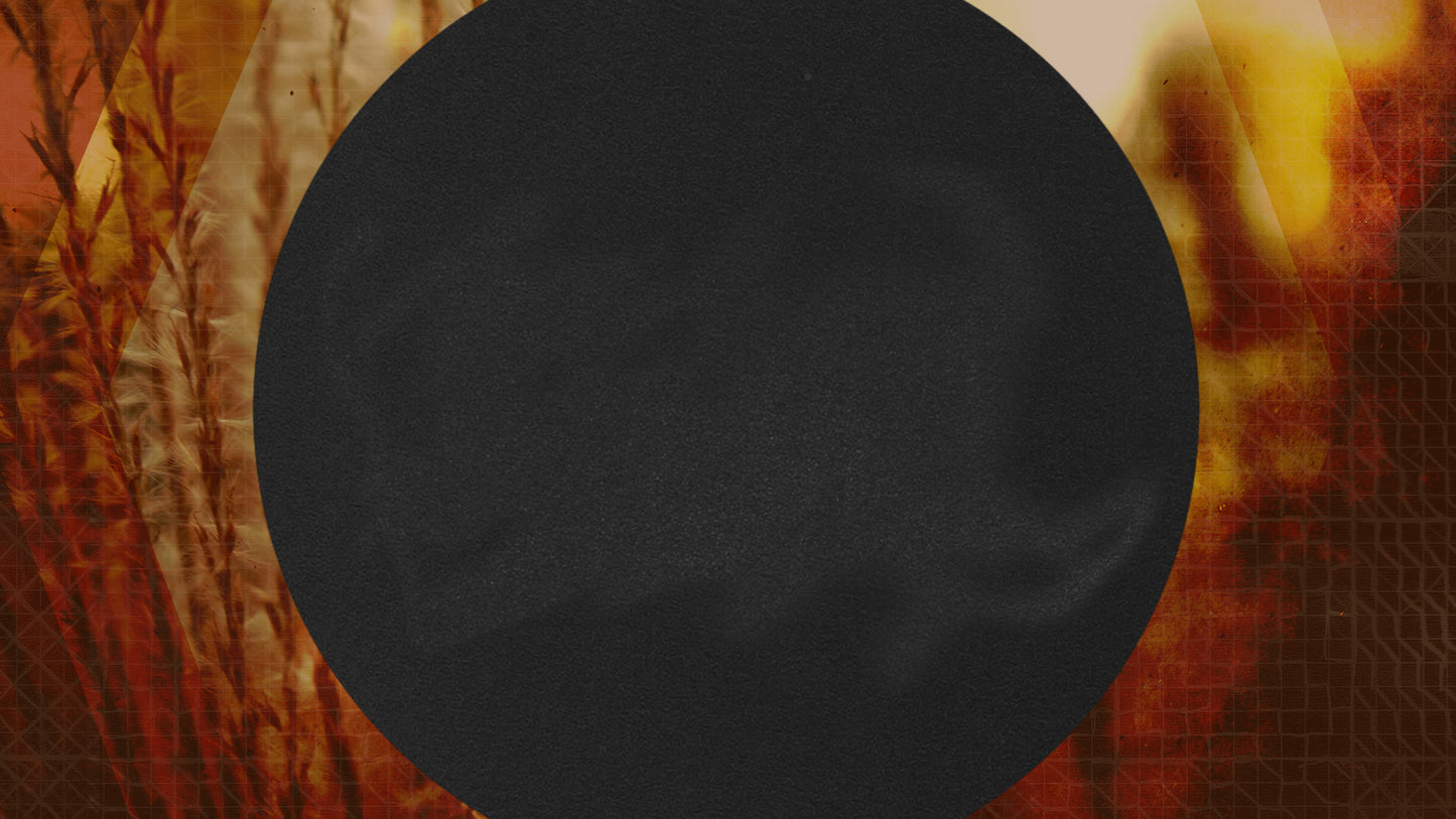 Autumn Grid Circle Big Still