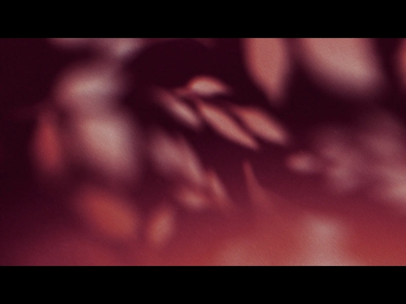 Autumn Again Loop 07